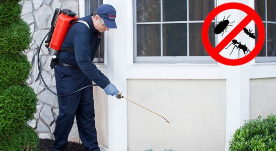 Kartal Böcek ve Haşere İlaçlama böcek ilaçlama ve haşere kontrolü — ilaclama-tr.com